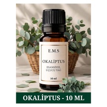 Okaliptus