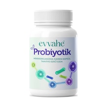 Probiyotik Mikroorganizma 60 Kapsül