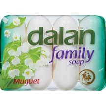 Family El Sabunu Müge 70 Gr Diğer