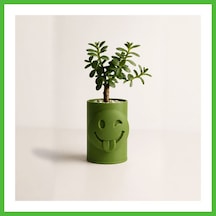 Vaveni 3d Baskı Emoji Planter - Göz Kırpan Yüzlü Sukulent Saksısı-yeşil Arz