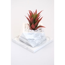 Yapay Çiçek Deposu Altlıklı Beton Saksıda Kaliteli Yapay Succulent Kaktüs Set Kızıl