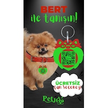 Petjoo 13.Bert Yeşil-Kırmızı Qr'lı Köpek Künyesi