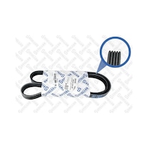 V Kayışı - Alfa Romeo Giulietta, 500, Panda, Grande Punto, Punto, Doblo, Tipo, Bravo, Stilo, Idea, Linea, Egea - Contınental-5pk1145