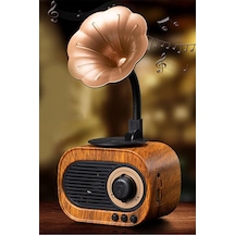 Nostaljik Mini Gramafon Şeklinde Bluetooth Hoparlör Radyo Usb Aux Bluetooth Yüksek Ses Kalitesi Kahverengi - 900480431