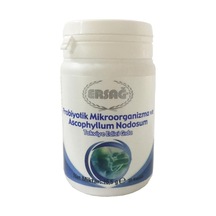 Ersağ Probiyotik Mikroorganizma Ve Ascophyllum Nodosum Içeren Gıd