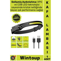 Çok Renkli
