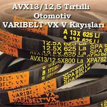 12,5x1625 La Tırtıllı V Kayış
