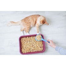 Kedi Kumu %100 Organik Çam Peleti Net 10 Kg