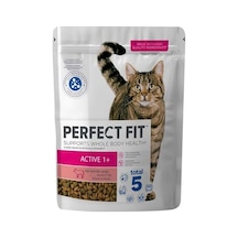 Perfect Fit Yetişkin Sığırlı Kuru 750 G 100 G