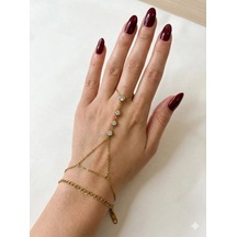 Gold Zirkon Taşlı Çelik Çelik Şahmaran - Sahmar0072 Çok Renkli