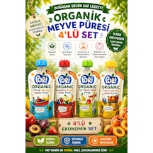 Organic %100 Organik Meyve Püresi 100 G x 4 Karışık Aroma İlave Şekersiz 4'lü Set