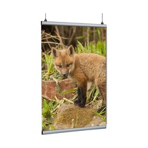 Poster Tutucu Clamp 50cm 5li Paket