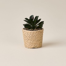 Deco Hasır Saksı Yapay Sukulent - Bej / Yeşil - 10x6 Cm Çok Renkli