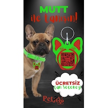 Petjoo 10.Mutt Kırmızı-Yeşil Qr'lı Köpek Künyesi