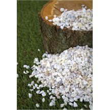 Dolomit Taş 5 Kg 0,5-1 Cm Karışık Renkli Çakıl Taşı Saksı Taşı Dere Taşı Akvaryum Teraryum Taşı