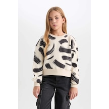 DeFacto Kız Çocuk Desenli Bisiklet Yaka Sweatshirt D3018A824WNBG734 Bej