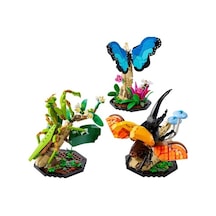 LEGO Ideas 21342 Böcek Koleksiyonu 1111 Parça