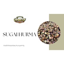 Sugai Hurma Yeni Sezon 500  G