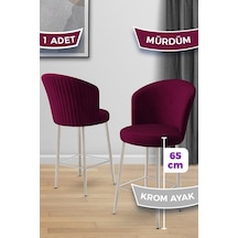 Mürdüm - Krom Kaplama