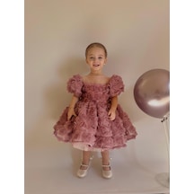 H L Y Karol Tasarım Lina Güllü Diana Vintage Kız Bebek Elbise,doğum Günü Elbise,fotoğraf Çekim Elbise,0-12 Yaş Uygun Pembe