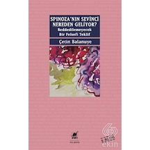 Spinoza'nın Sevinci Nereden Geliyor? - Çetin Balanuye - Ayrıntı Yayınları