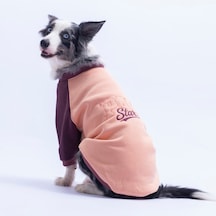 Somon Boston Pawstar Sweat Orta-büyük Irk Köpek Sweatshirt Köpek Sweat Köpek Kıyafeti