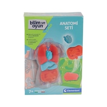 64742 Bilim Ve Oyun - Anatomi Seti - Jfen-889127 1 Adet