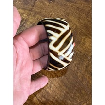 Çizgi Desenli Kemik Kadın Hint Bileziği Çap 7 Cm Çok Renkli