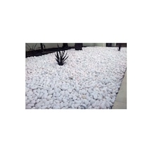 Beyaz Dolomit Taş 100 Kg 2,5-4 Cm Dere Çakıl Taşı Bahçe Süs Taşı Saksı Teraryum Taşı