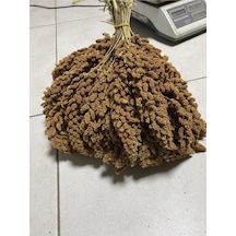 Mezbi Doğal Dal Darı Özel 1 KG