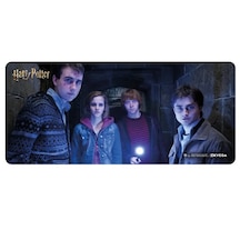 Harry And Friends