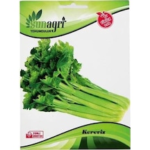 Sunagri Kereviz Tohumu