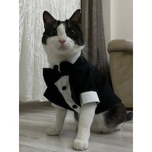 Gobo Papyonlu Smokin Damatlık Kedi Köpek Giyim Takım Elbise