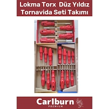Premium Dayanıklı Ev İş Tamirat Tadilat Vida Lokma Torx Düz Yıldız Tornavida Seti Takımı