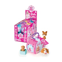 Barbie Kitty Surprise Pet Box Sürpriz Kedi Figürü Ve Aksesuar Seti 1 Adet