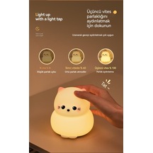 Led Patırık Ortamışığıge Lambası-tangtang 1 Ho Diğer