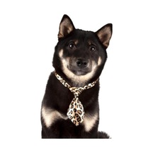 Show Tech Kedi Köpek Desenli Kravat Aksesuar 10 Adetli Paket
