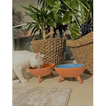 Ath Store Çömlek Kedi Köpek Mama Su Kabı Ayaklı Sırlı 2'li 20 CM