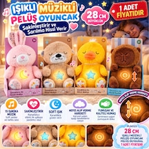 Pl50123 28 Cm Işıklı Müzikli Peluş Oyuncak Peluş Duygusal Adet Fiyatıdır Çok Renkli