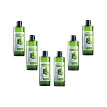 Botanics Isırgan Özlü Parlaklık Veren Şampuan 500 Ml 6 Adet