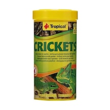 Crickets Kurutulmuş Balık Yemi 250ml 25gr