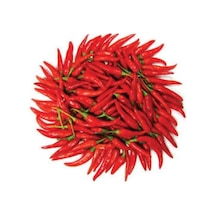 50 Adet Tohum Eko Paket Şili Biberi Tohumu Çok Acı Chili Biberi Tohumu Sürpriz Hediye Sebze Tohumudu