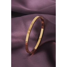Ezoconcept 316l Çelik Zirkon Taş Detay Kadın Kelepçe