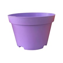 Nura Botanik Katı Plastik Sukulent Saksısı 10adet Açık Mor 8.5 Cm