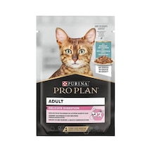 Pouch Delicate Okyanus Balıklı Yetişkin Kedi Konservesi 85 Gr