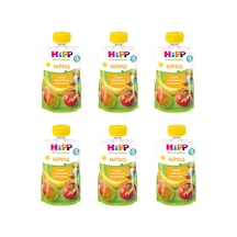 Hipp Organik Muzlu Elmalı Armut Püresi 100 Gr 6 Adet
