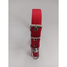 Kozaklı Küçük Irk Köpek Tasması Kırmızı 50 x 2.5 CM Kırmızı