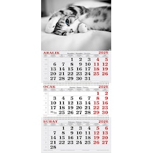 2026 Yılı Gemici Takvimi-tatlı Kedi