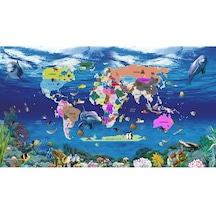 Deniz Harita Desen Çocuk Odası Duvar Kağıdı