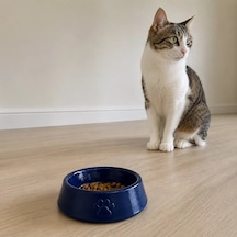 Hubrendy Sh Pati Desen Model Beton Kedi Köpek Mama Ve Su Kabı 13 Cm Çap X 4 Cm - Lacivert